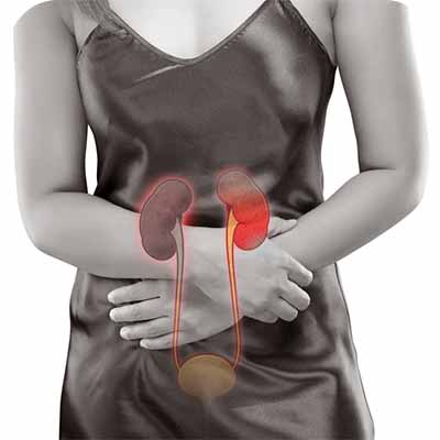 Homeopathic solutions for Kidney Disorder